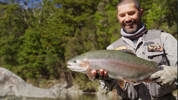 Over 20,000 trout cod were recently released into the Macquarie River at three locations downstream of Bathurst.